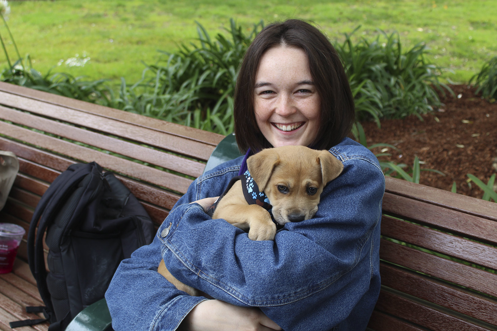 Lucasfilm employees at an adoption event.