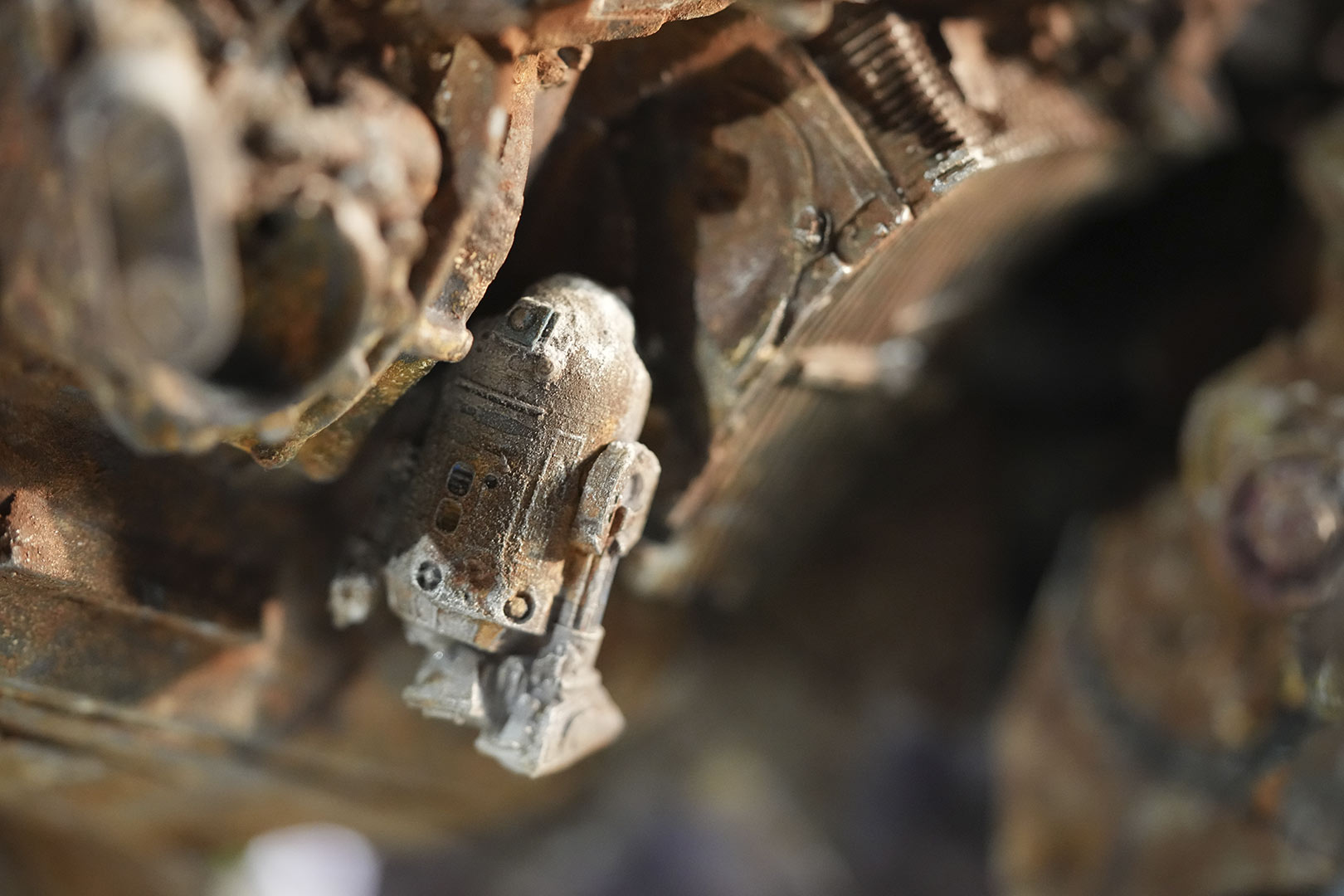 Detail of R2-D2 found on Mama Crab.