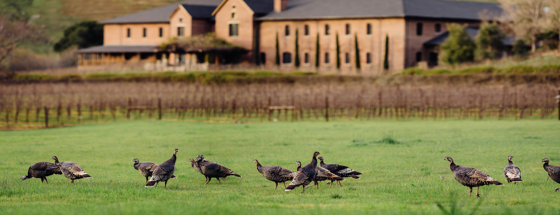 Skywalker Sound, Sound Design Lucasfilm Ltd.